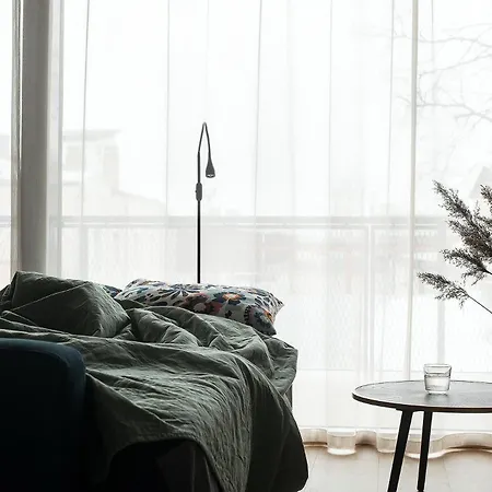 Super Stylish Loft 公寓 塔林